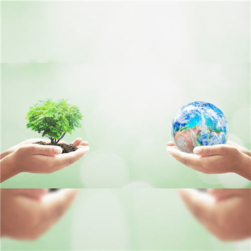 Online workshop: Ako spraviť svoj deň ekologickejším