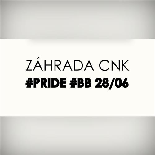 PRIDE BB 2025 / Na akom spektre sa nachádzame ako ľudia, susedia a občania?