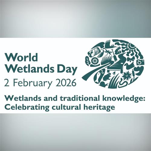 MOKRADE / Voda. Príroda. Človek. // Svetový deň mokradí – 2. február