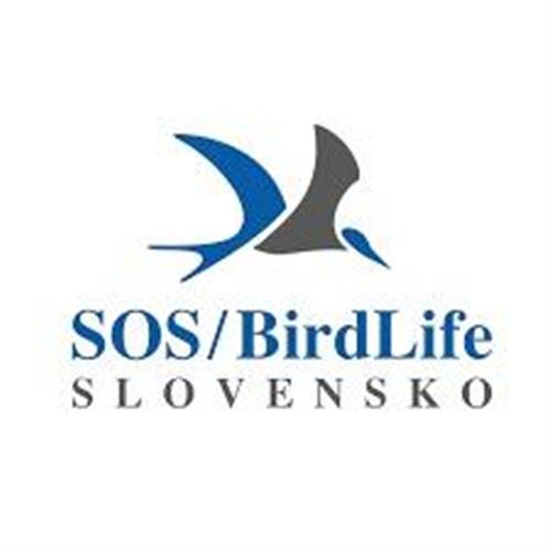 Podporme hniezdenie mestských vtákov