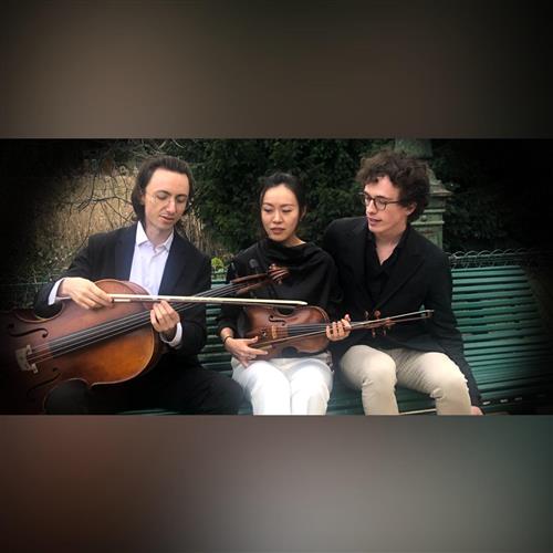 Hudba pod diamantovou klenbou - Trio Souvenirs