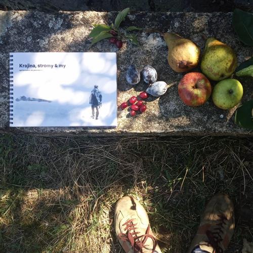 Festival ovocia – Hrušky s jablkami - Krajina, stromy & my (workshop)